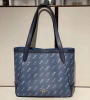 Новая крупная тибетская синяя карета в Hangzhou