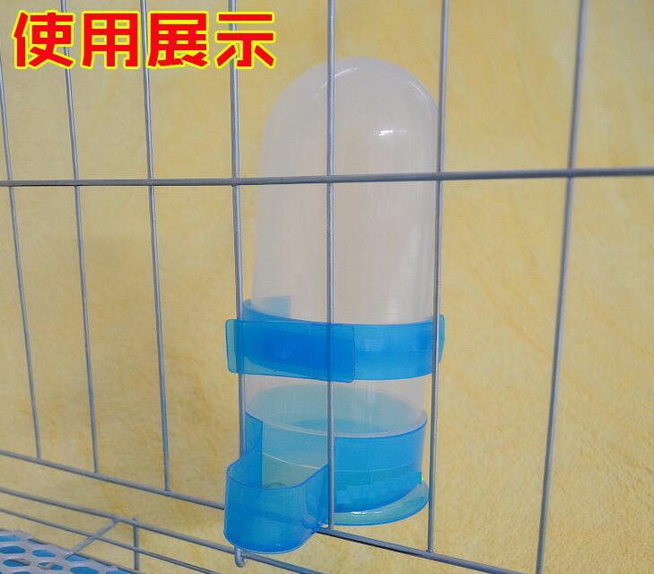 Chim bồ câu Starling chim với người uống tự động nước cấp chim bồ câu cung cấp dụng cụ trung chuyển máng ăn trung chuyển - Chim & Chăm sóc chim Supplies 	cám cho chim thanh tước