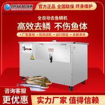  Xuzhong automatic commercial fish killing scale removal machine