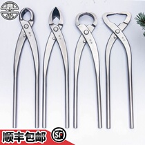 Dingwood bonsai trimming and Styling Special tools professional set stainless steel ball joint cut leaf bud cut rod