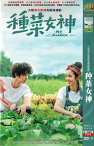 Vegetable Goddess Liu Shihao Chen Tingni Idol Urban Love TV Series HD Home DVD