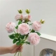 3 порошка молока (6 цветов и 3 почек)