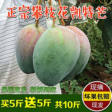 攀枝花凯特大芒果现摘现发带箱10斤[3元优惠券]-寻折猪