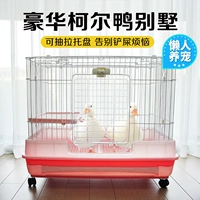 Kell Duck Cage Rabbit Duck, Гвинея -цыплята Специальное размножение Anti -Spray Cage Home