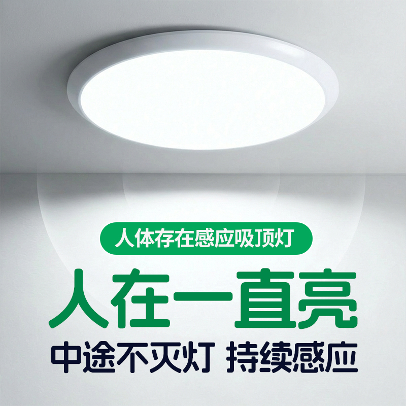 Human Presence Sensor Ceiling Light, Intelligent Human Presence Light That Stays on Continuously, 220V Plug-In Sensor Light Human Presence Sensor Ceiling Light, Intelligent Human Presence Light That Stays on Continuously, 220V Plug-In Sensor Light