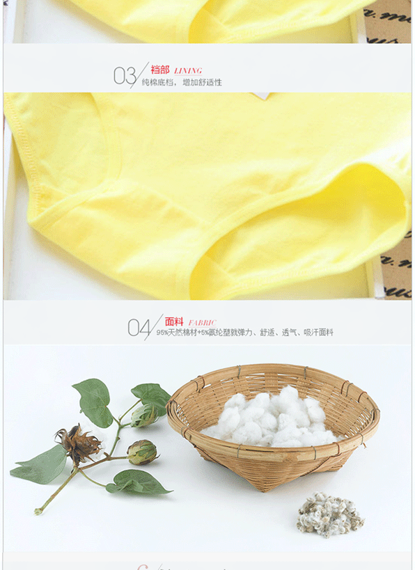 Slip NK001 en coton - Ref 645015 Image 10