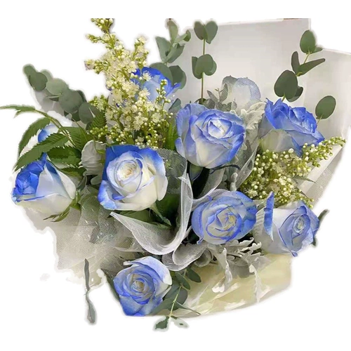 星乐 Розовые цветы Жемчужно цветовое распылительное распылительное распыление цветочное распыление цветочное искусство цветовое распылитель спрей для самооплачивания краска цвет цвет краситель