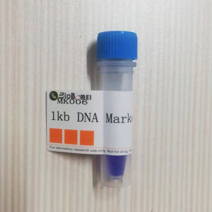 含票 1kb DNA Marker  核酸分子量标准1000-10000bp  现货
