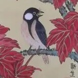 爱婴天使母婴用品店
