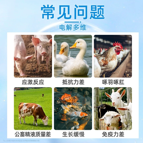 Электролитические многомерные зверя для витаминных черепах, фазантская утиная птица, свинина, скот, укрытие и вода, различные следовые элементы