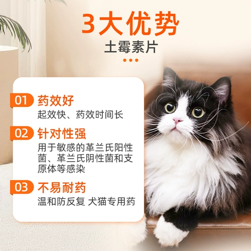 Отациклин для собак и кошек диарея лекарство для диареи и мягкого стула для собак и кошек