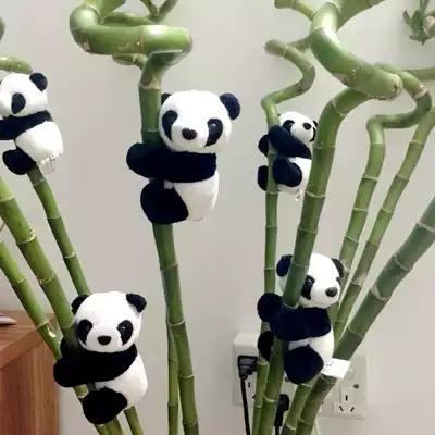 Crooked head panda clip small doll Plush toy doll can clip Fugui bamboo Chengdu tourist souvenir small gift