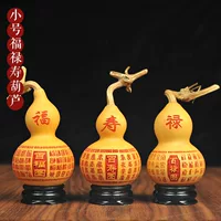 Маленькая тыква дикой тыквы