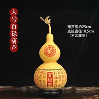 Большая тыква дикой