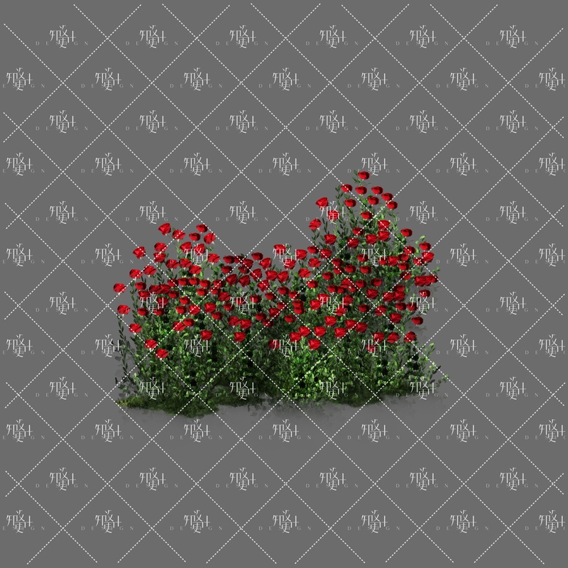 Neat Red Rose Floral Arrangements on Both Sides of the T-Stage Aisle, Wedding Floral Art Psd File, Wedding Effect Material