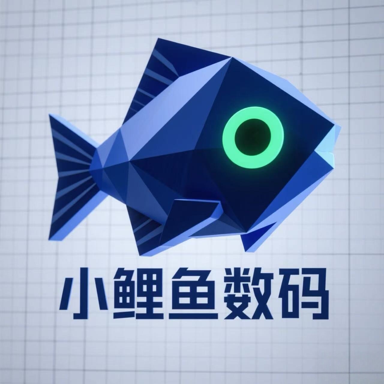 小鲤鱼数码