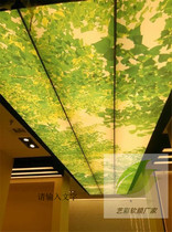 Looking up at the Woods Sky soft film ceiling ceiling pull film light box natural scenery color film HD UV picture box cloth