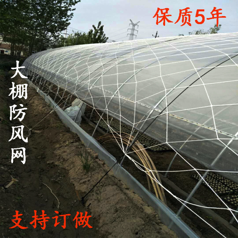 Sealing net planting and breeding greenhouse windproof net protective net nylon net large hole lamination rope net windshield net greenhouse net