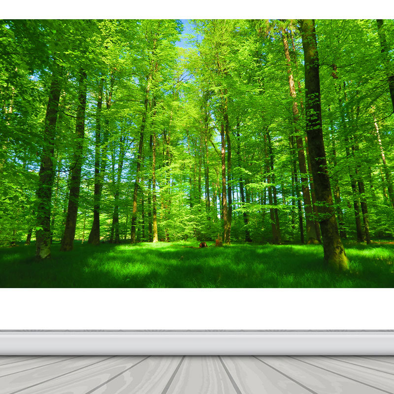 Sunshine Forest Green Grassland Nature Landscape Wallpaper Wall Sticker Self-Adhesive Decorative Painting Sticker Tree Painting