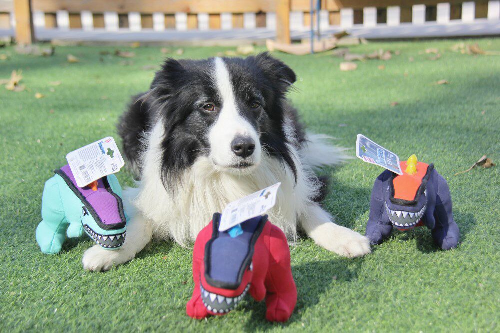 Sierra pet expensive for GIGWI chew-resistant molar dog toy elephant squirrel boar rabbit raccoon animal modeling