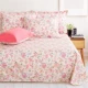 Đơn giản bao gồm khăn bông mảnh duy nhất của bông twill vải vải kép ký túc xá đơn 1,5 / 1,8 m giường - Khăn trải giường thảm trải giường mùa đông