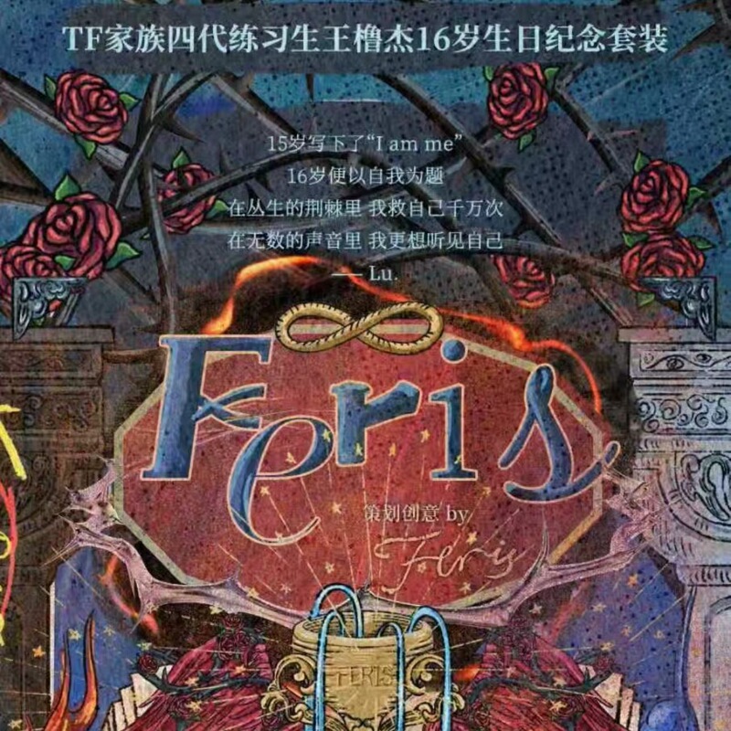 Tf Family Fourth-Generation Trainee Wang Lujie's 16Th Birthday Commemorative Set "Fer Is" Complete Set Unopened Tf Family Fourth-Generation Trainee Wang Lujie's 16Th Birthday Commemorative Set "Fer Is" Complete Set Unopened