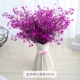 2 куча Jinzhong Liu Honglian+Цветочная корзина