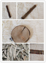 Dense kangaroo molars products eucalyptus wood products