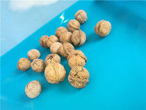 Fine thin-skinned large walnut squirrel grain molar nuts 250g half a catty