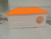 Golden Flower Demon King Squirrel Can Fix Small House Nest