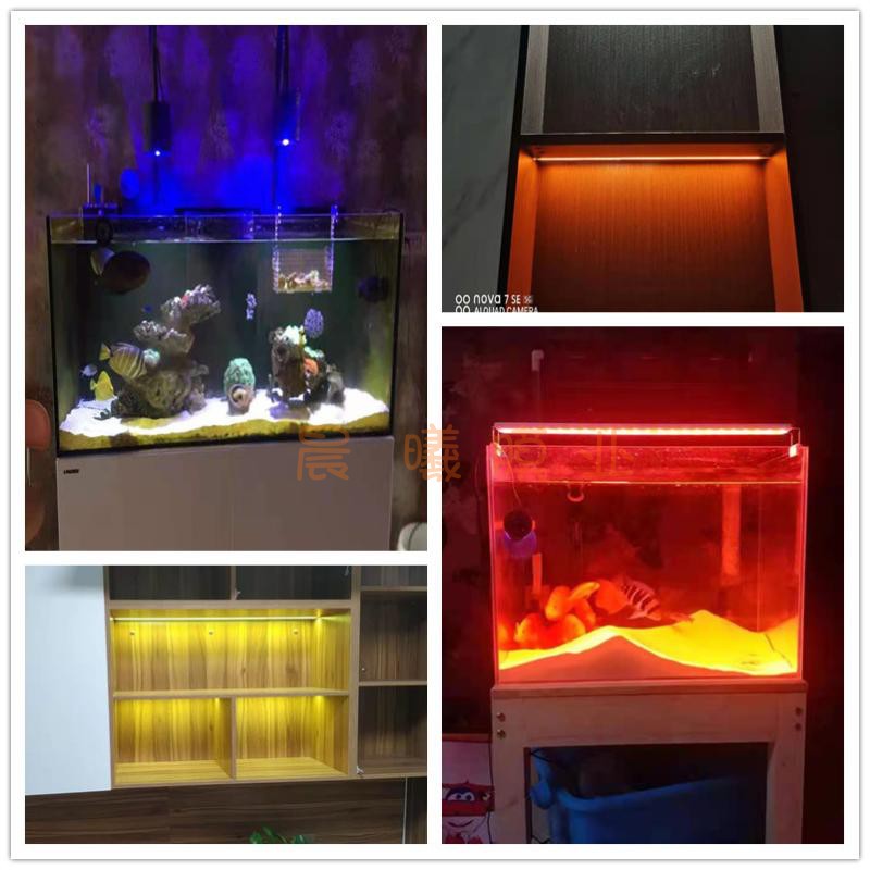 Fish tank light Aquarium light Tank light Aquarium light Aquarium light Aquarium light Aquarium light Aquarium light Aquarium light Aquarium light Aquarium light Aquarium light Aquarium light Aquarium light Aquarium light Aquarium light Aquarium light Aquarium light Aquarium light Aquarium light Aquarium light Aquarium light Aquarium light Aquarium light Aquarium light Aquarium light