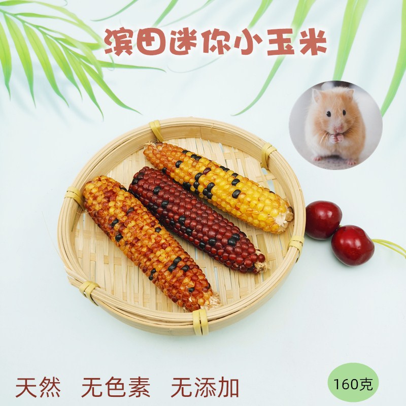 Pets 88 Hamada hamster hamster small corn rabbit dragon cat graced small food paparazzi with zero food stick PE34