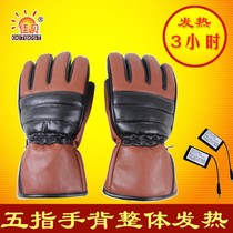 Electric gloves heating charging heating heating hand treasure electric heating lithium battery mini warm electric plush mini female explosion proof