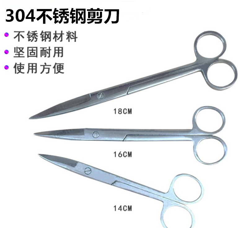 解剖剪 14cm 16cm 18cm 304不锈钢剪刀 生物教学仪器
