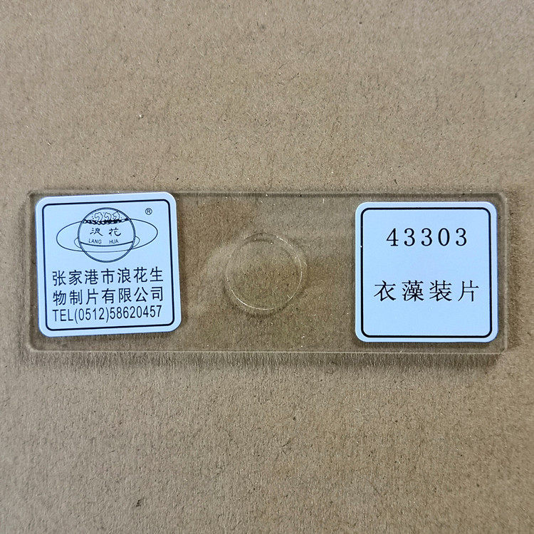 43303衣藻装片 浪花牌切片 生物显微镜玻片涂片 教学仪器