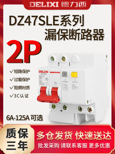 Delixi Household Leakage Circuit Breaker Switch Leakage Protection Dz47Sle 2P 10A 25A 32A 40A63A