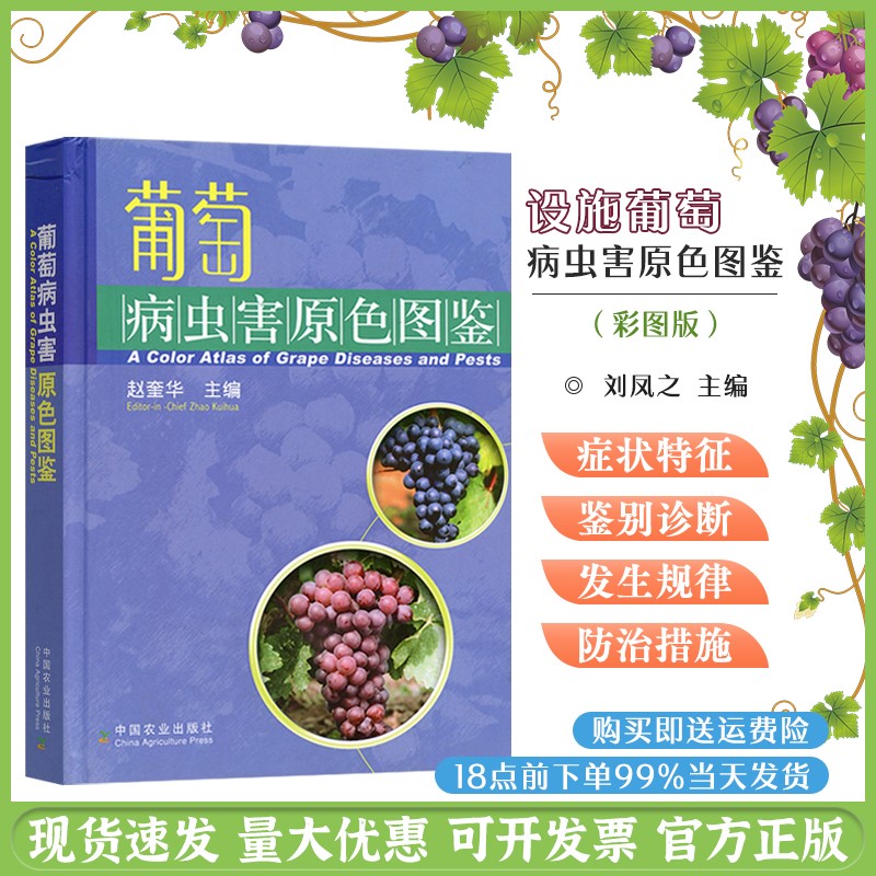 Primary color map of grape diseases and insect pest control books by Zhao Kuihua Primary color ecological map of grape planting technology and management books of grape diseases and insect pest control