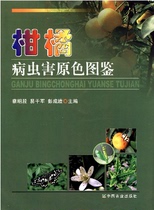 Citrus pests and diseases primary color guide Cai Mingduan Citrus pests and diseases control technology Citrus planting and cultivation technology Citrus disease self-diagnosis and treatment Citrus disease identification