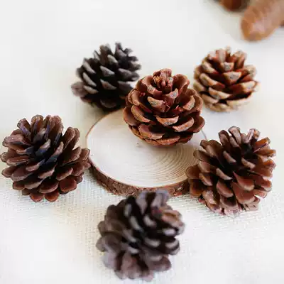 Old man Christmas pine cone natural pine cone steam treatment insect-free DIY ornaments photo photography props