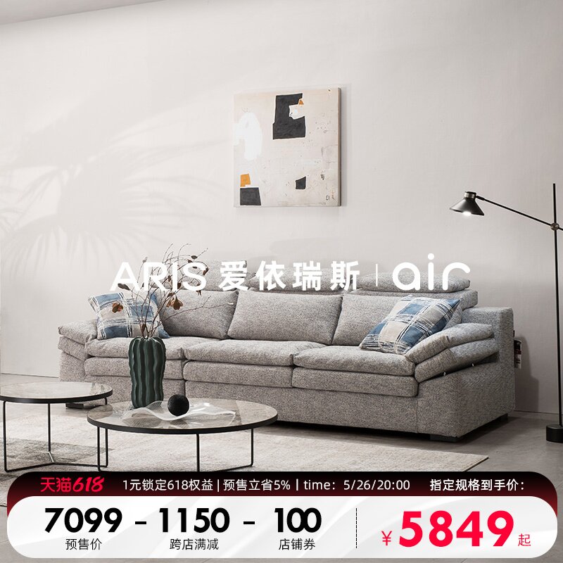 Iris Italian simple fabric sofa small family living room feather sofa double couch upgrade 17