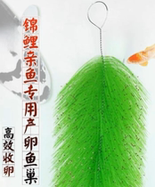 Hatching grass hatching brush koi spawning grass fish egg hatching brush goldfish breeding aquaculture fish nest
