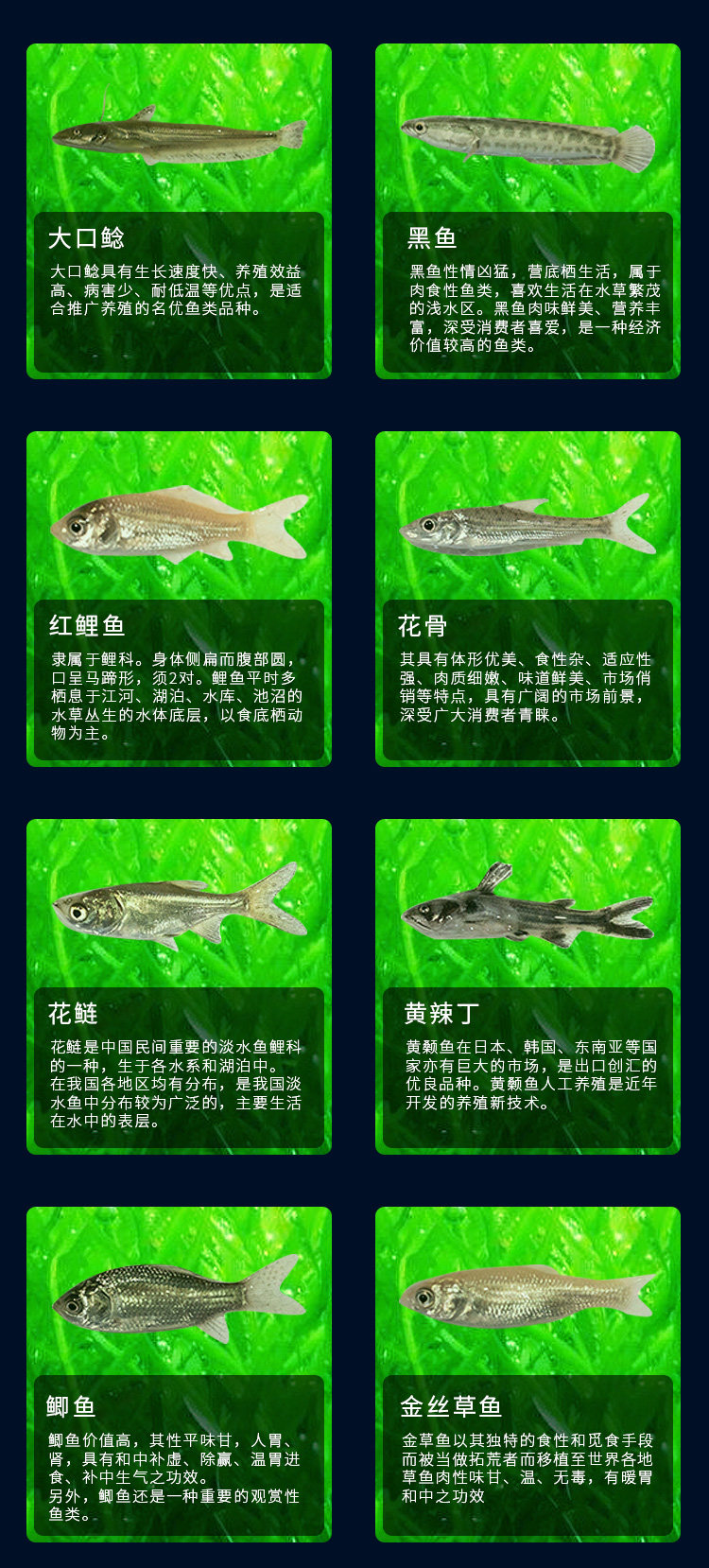 通威魚飼料原塘小顆粒通用型錦鯉魚淡水培殖專用小型魚統一小魚食