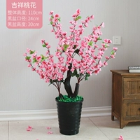 110 см. Благоприятный цвет персика плюс трава горшок