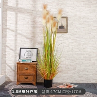 1,8 млн. Чистые листовые тростники