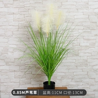 0,85 м травы тростника [с маленьким черным бассейном]