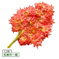 Красные кленовые листья (в комплекте)