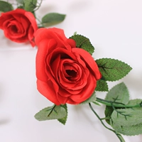 Красная розовая лоза