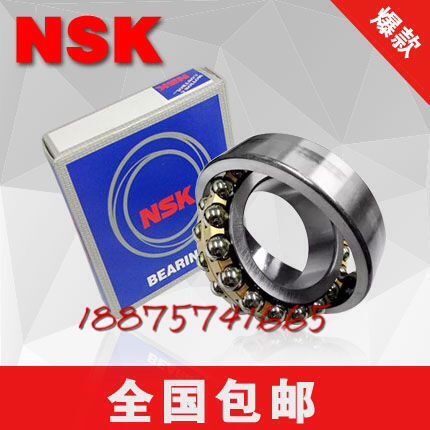 Japan NSK self-aligning ball bearings 1200 1201 1202 1203 1204 1205 1206 1207K