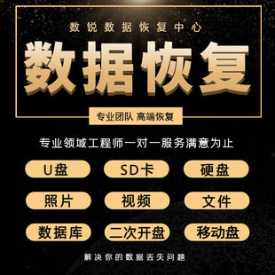 コンピュータ モバイル ハードディスク データ復旧サービス U ディスク SD カード機械的ソリッド ステート修理サーバー リモート修理