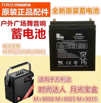 Longwei 12V3ah Wanlida audio mic treasure Beidet sound Jin Zheng Tianpu battery battery